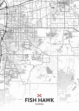 Fish Hawk FL