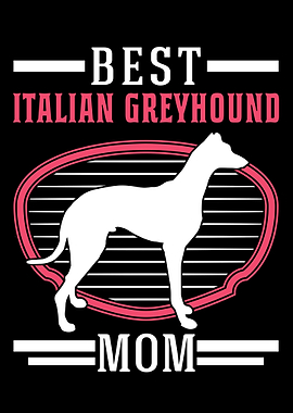 Best Italian Greyhound Mom