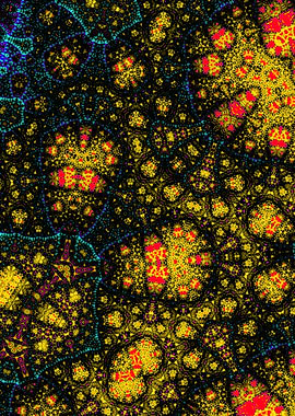 Trippy Groovy Fractal