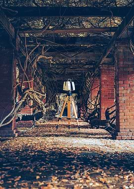 Laser Scanning Survey