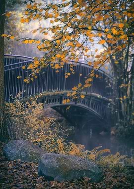 Autumn path, bridge, trees
