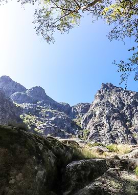 Conquer the Mountain