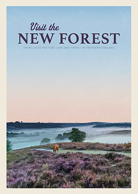 Visit the New Forest