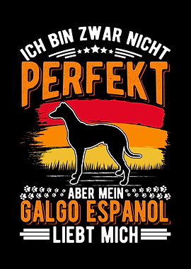 Galgo Espaol Spanischer