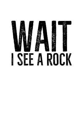 Wait I See a Rock
