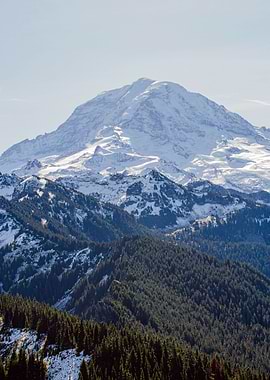 Snowy Mountain at Forest