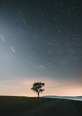 Lonely under the stars