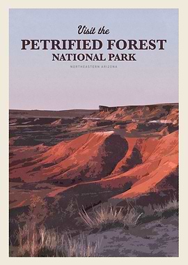 Visit the Petrified Forest