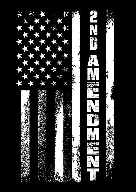 2nd Amendment Gun Control