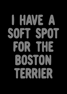 Boston Terrier