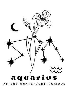 Aquarius Zodiac
