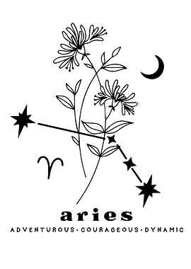 Aries zodiac