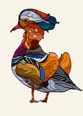 Mandarin duck