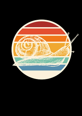 Snails Snail Shell Racing