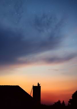 Cat sitting on a chimney