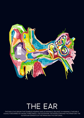 The Ear