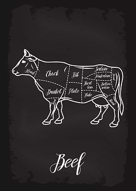 Butcher Cuts of Beef