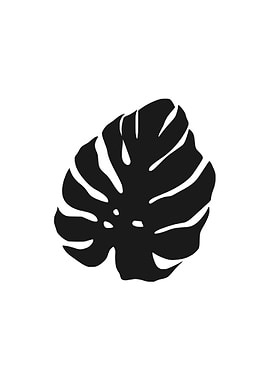 Monstera black and white
