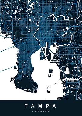TAMPA Map FLORIDA USA
