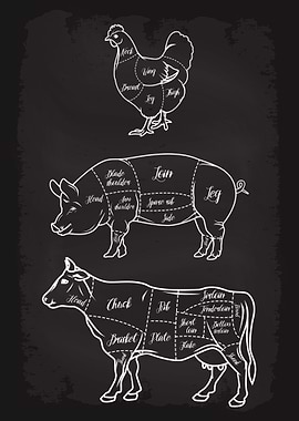 Butcher Cuts Guide