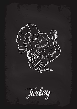 Butcher Cuts of Turkey