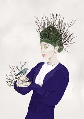 The elegance of Nature