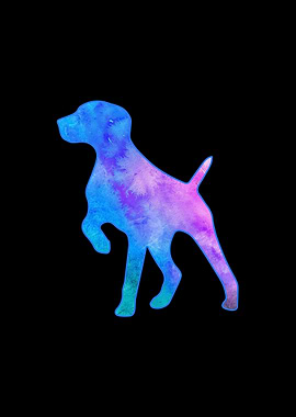 German Shorthair Pointer