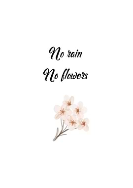 No Rain No Flower