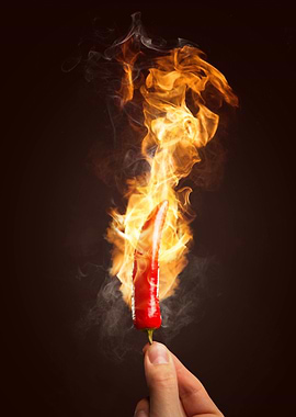 Burning Chili Pepper