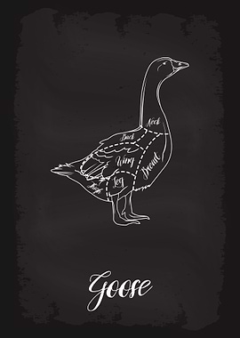 Butcher Cuts of Goose