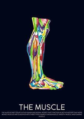 The Muscle