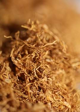 Albanian rolling tobacco