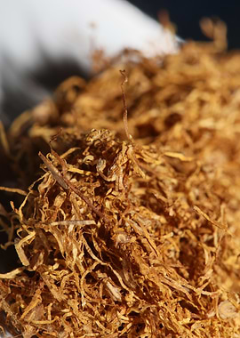 Rolling tobacco background