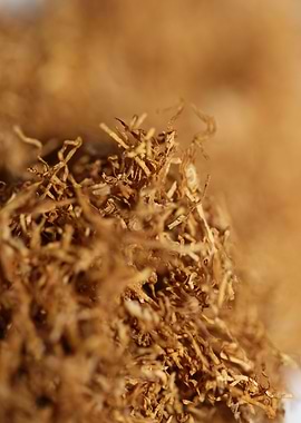 Albanian rolling tobacco