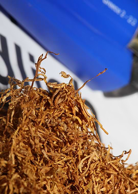 Albanian rolling tobacco