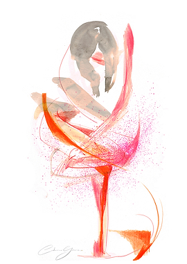 Ballerina Dance Drawing