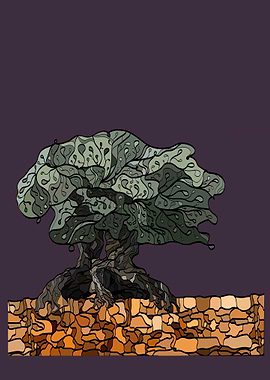 Millennial Olive Tree