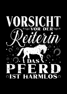 Reit Geschenk Pferde