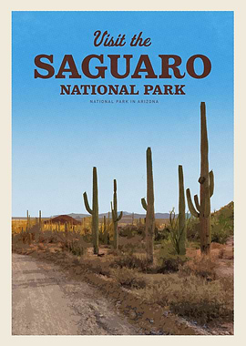 Visit Saguaro