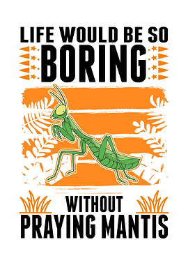 Praying Mantis