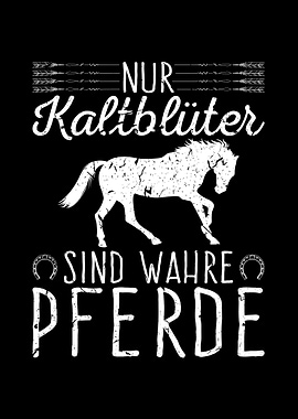 Kaltblut Pferde Reiterin