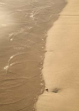 Soft Golden Ocean Dream 1