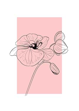 Orchid Flower Line Art