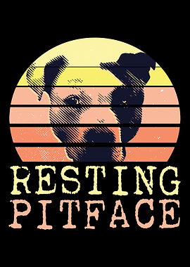 Pitbull Pit Bull Terrier