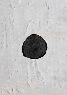 Black and White Beauty 02