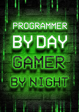 Programmer gamer day night
