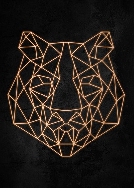 Tiger Outline