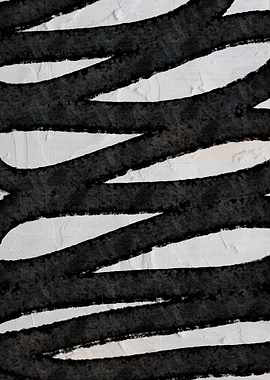 Black and White Beauty 05