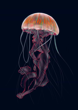 Orange Jellyfish