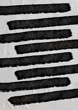 Black and White Beauty 07